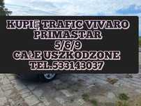 Piękny trafic 9 osobowy