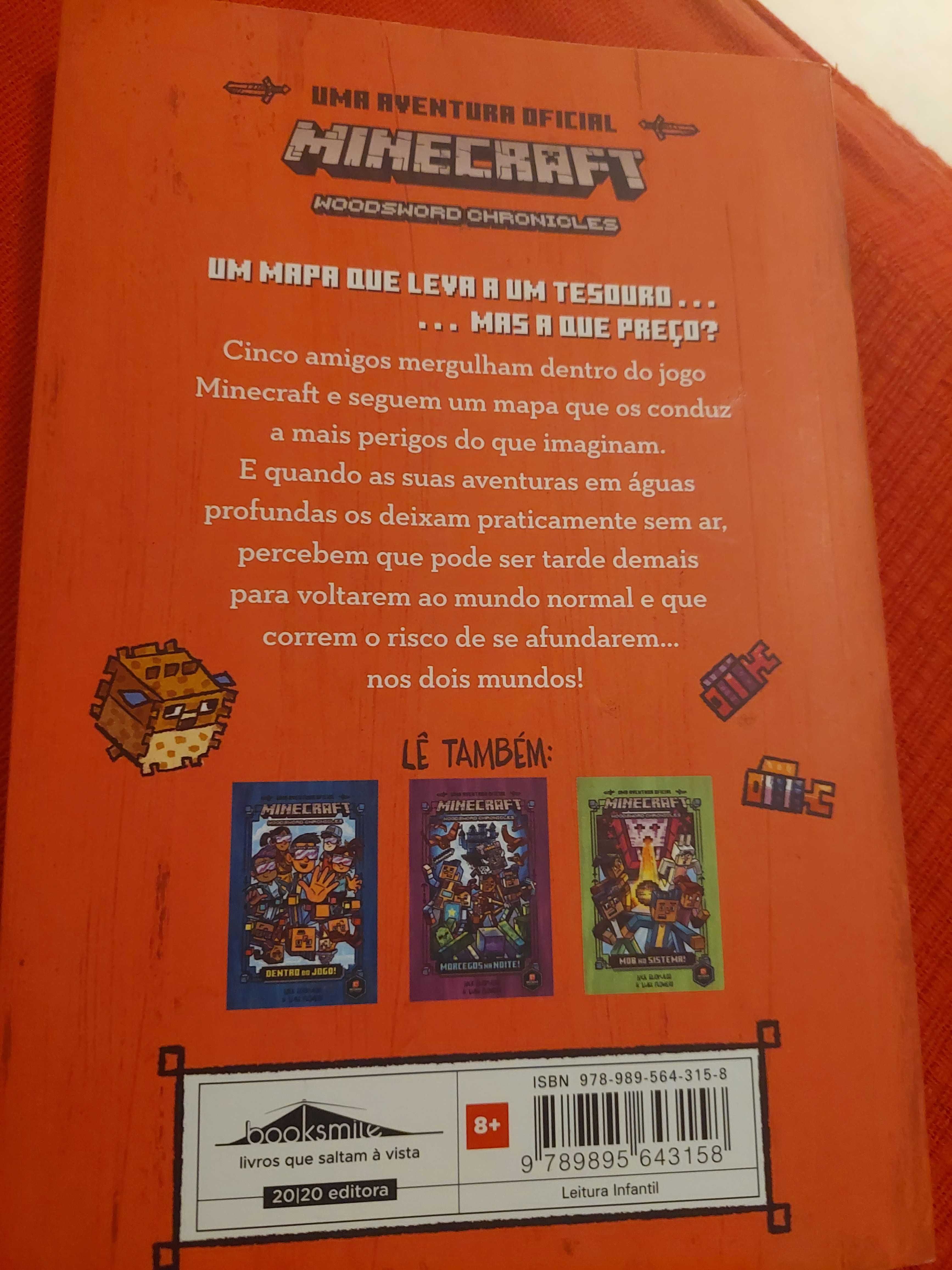 Livros minecraft