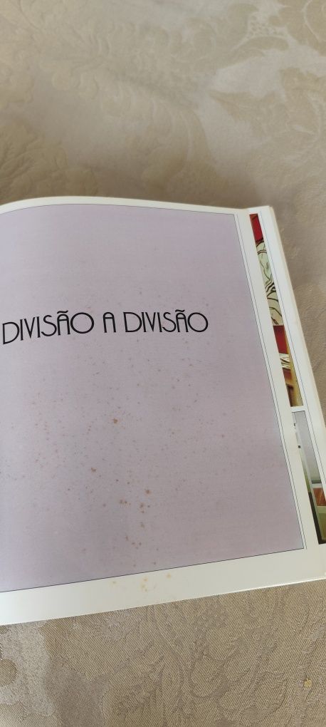 Novo livro da decoração