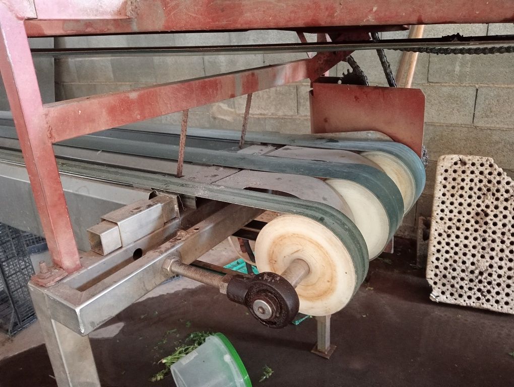 Máquina de lavar alho francês