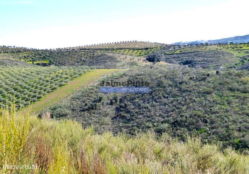 50.000m2 terra agrícola p/ Olival, Amendoal ou outras produções. Po...