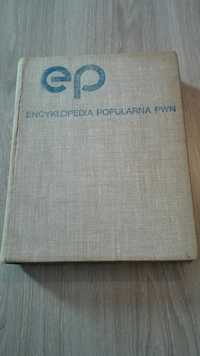 Encyklopedia popularna