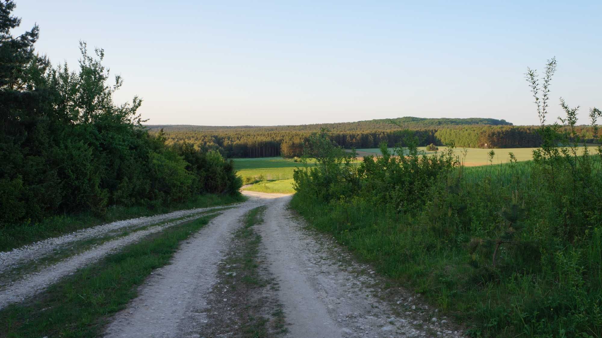 Działka budowlano rolna w Zaborzu wśród lasów i polan