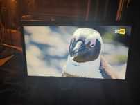 Sprzedam monitor Samsung 28 cali 4K