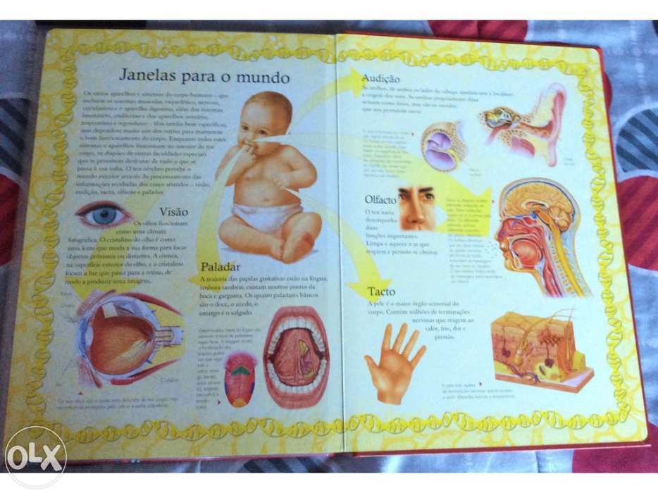 Livro - puzzle Corpo Humano