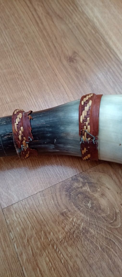 Róg antyk Afryka