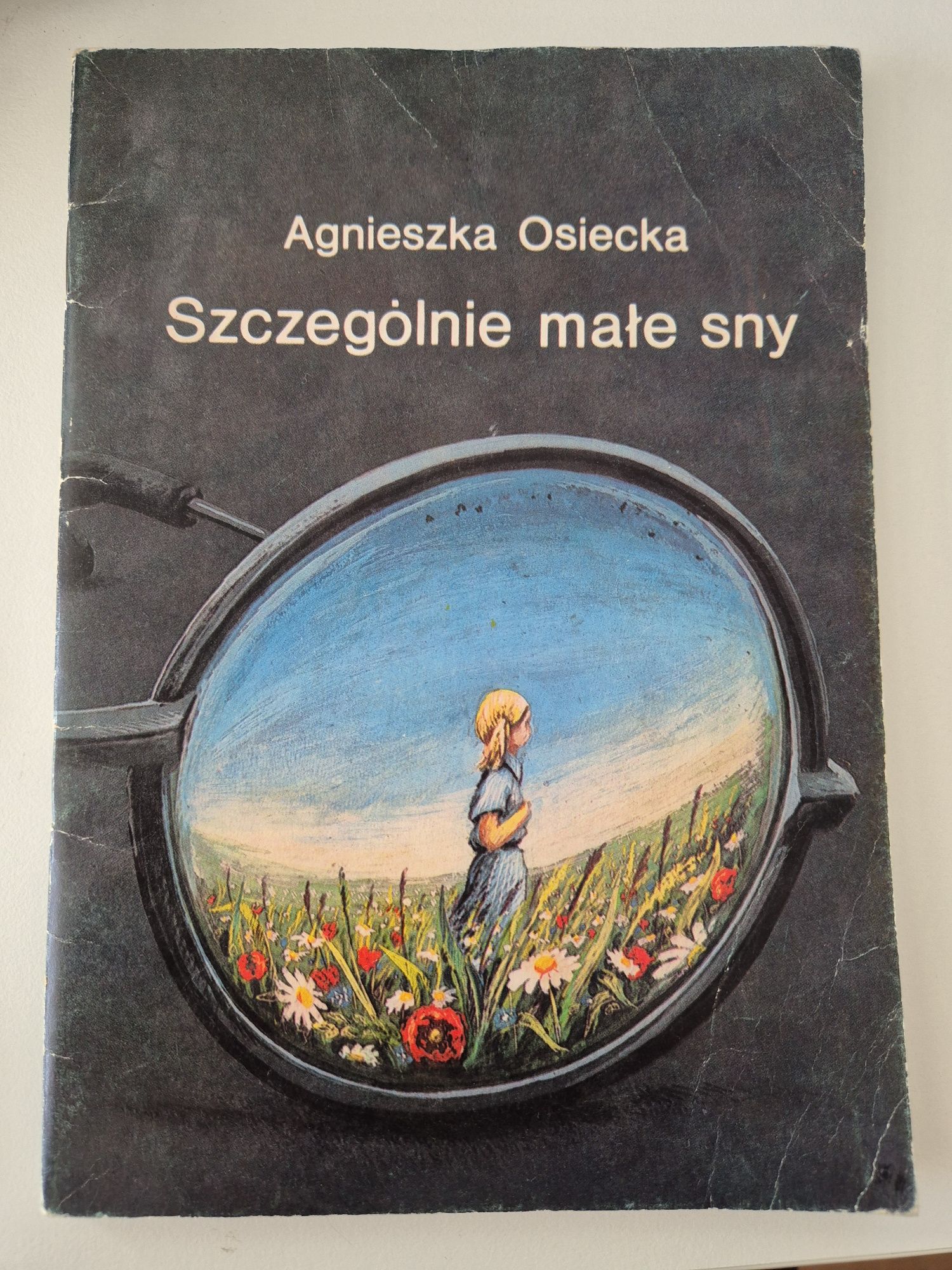 Agnieszka Osiecka, Szczególnie Małe sny