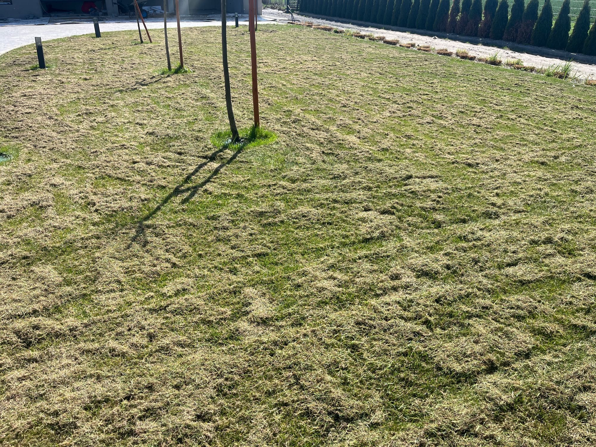 Wertykulator Husqvarna S500 PRO (50cm) - wynajem