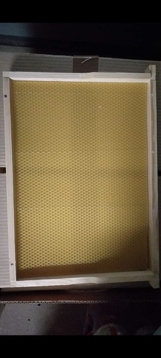 Ramki Warszawskie pszczele z węzą