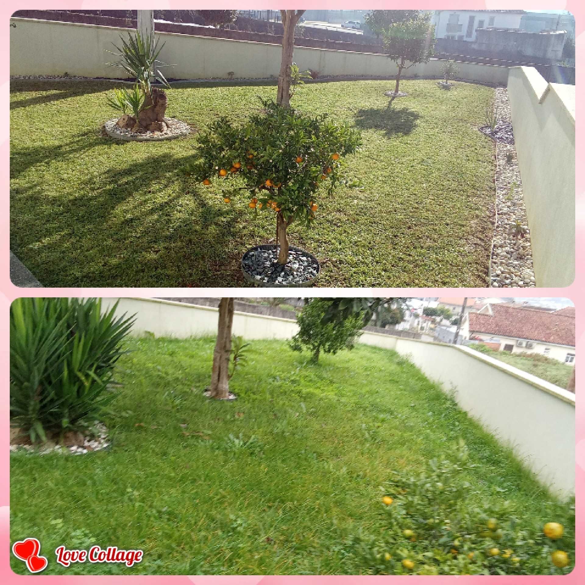 Jardinagem marco