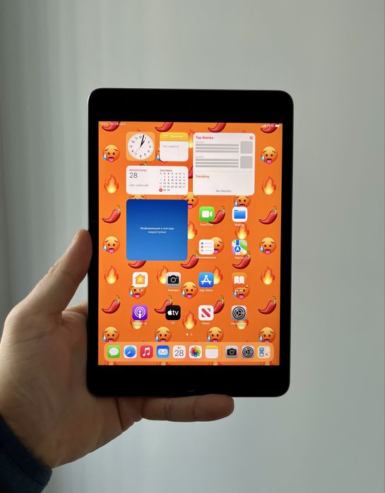 iPad Mini 5 256 GB LTE NeverLock чудовий стан айпад міні 5 256 гб ЛТЕ