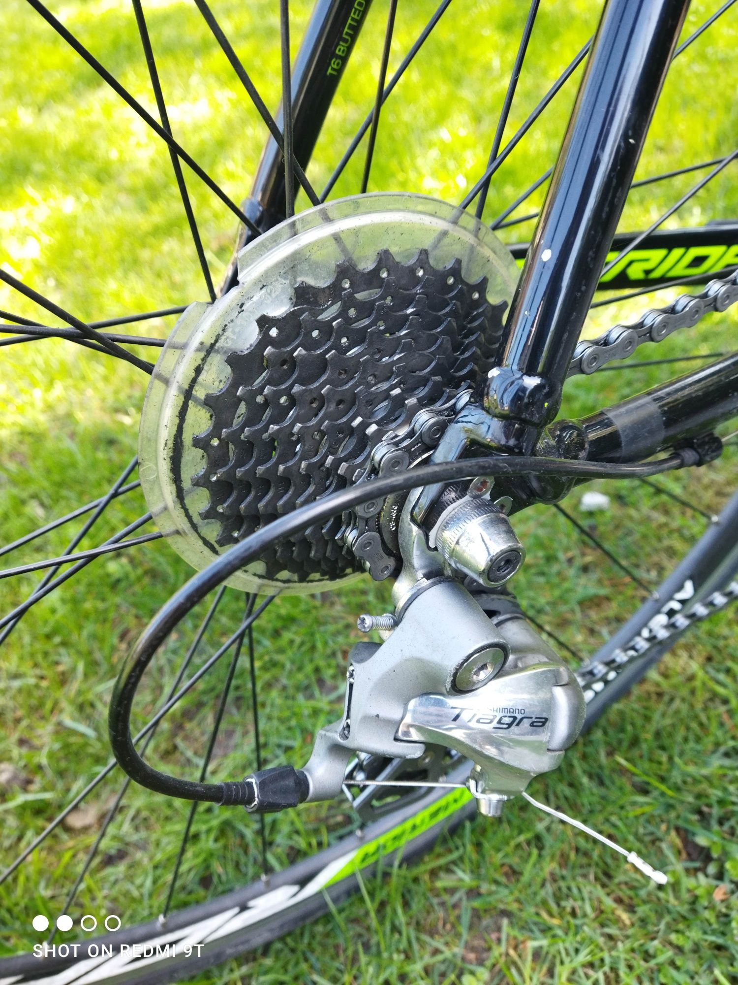 Merida scultura 903 lampre