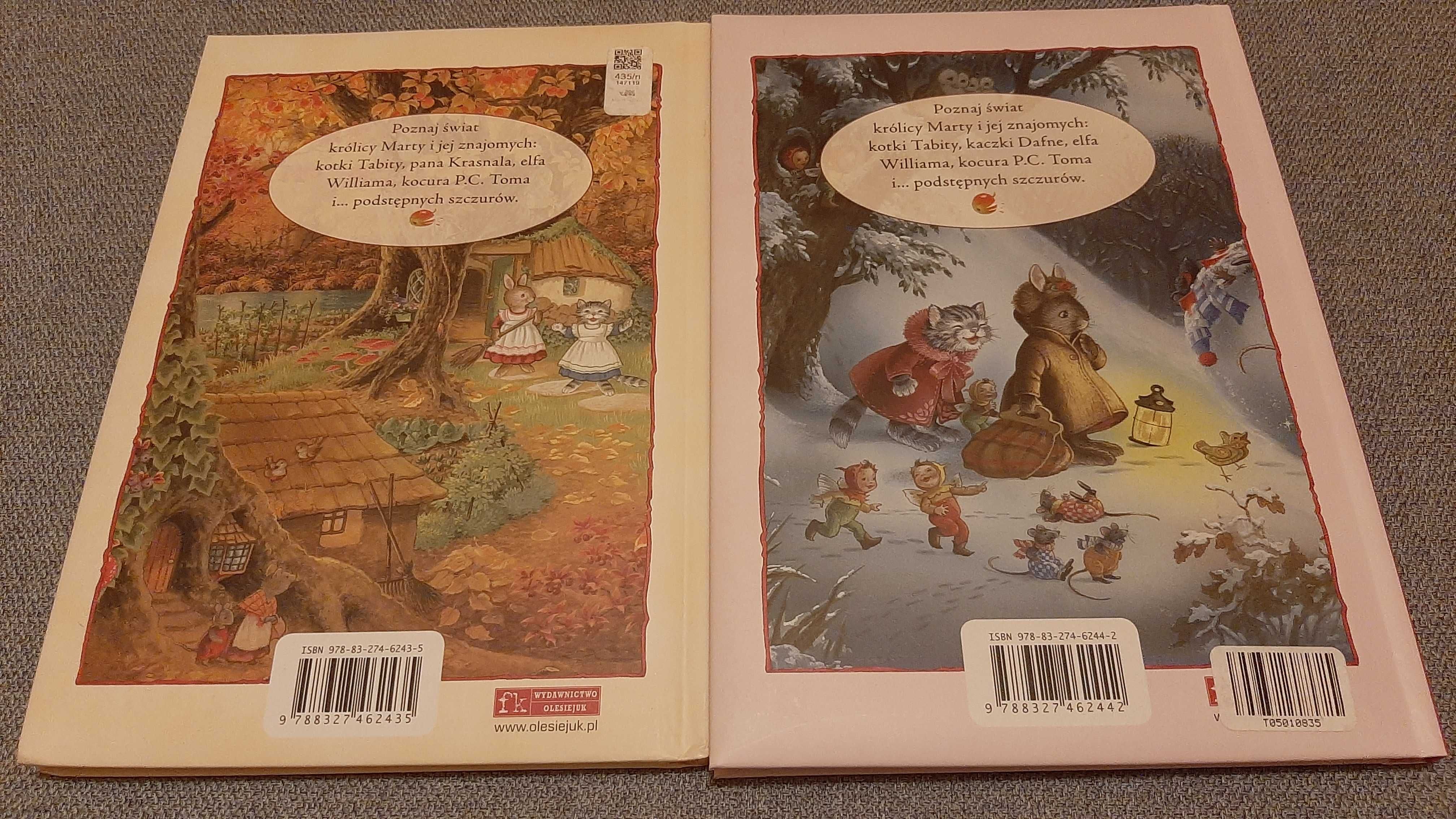 Kucharka wróżek i Podstepne szczury komplet książek dla dzieci