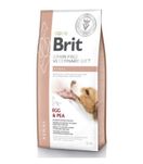 Brit GF VetDiet Dog Renal для собак, при нирковій недостатності 12кг