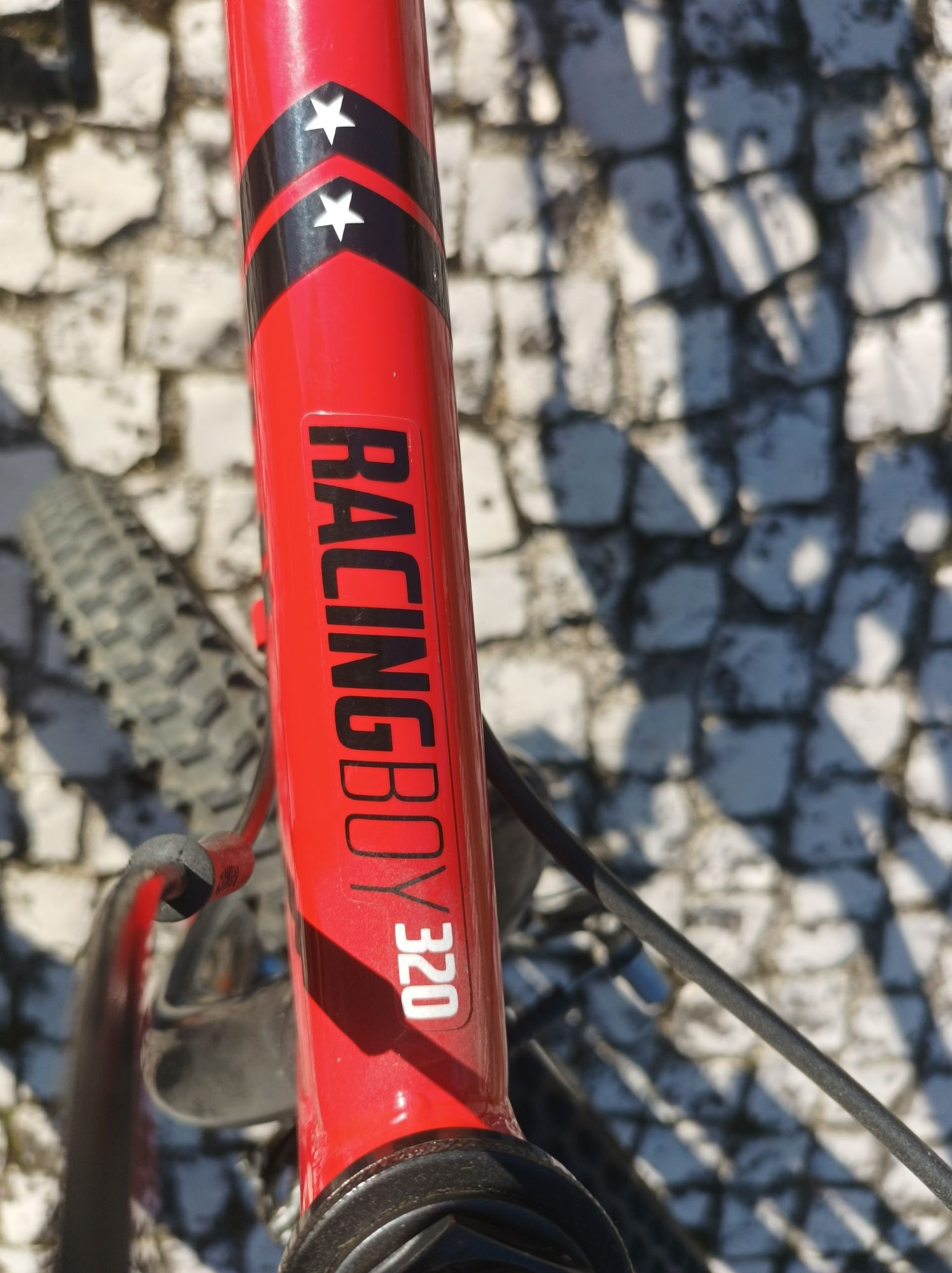 Bicicleta BTT criança 6-9 anos com descanso e protetores