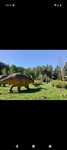 Bałtów bałtowski kompleks turystyczny Park dinozaurów jurapark bilet