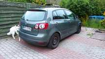 Volkswagen Golf Plus 2.0 Tdi 140 KM Automat Bogata wersja Tanio