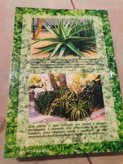 Saúde natural com aloe vera