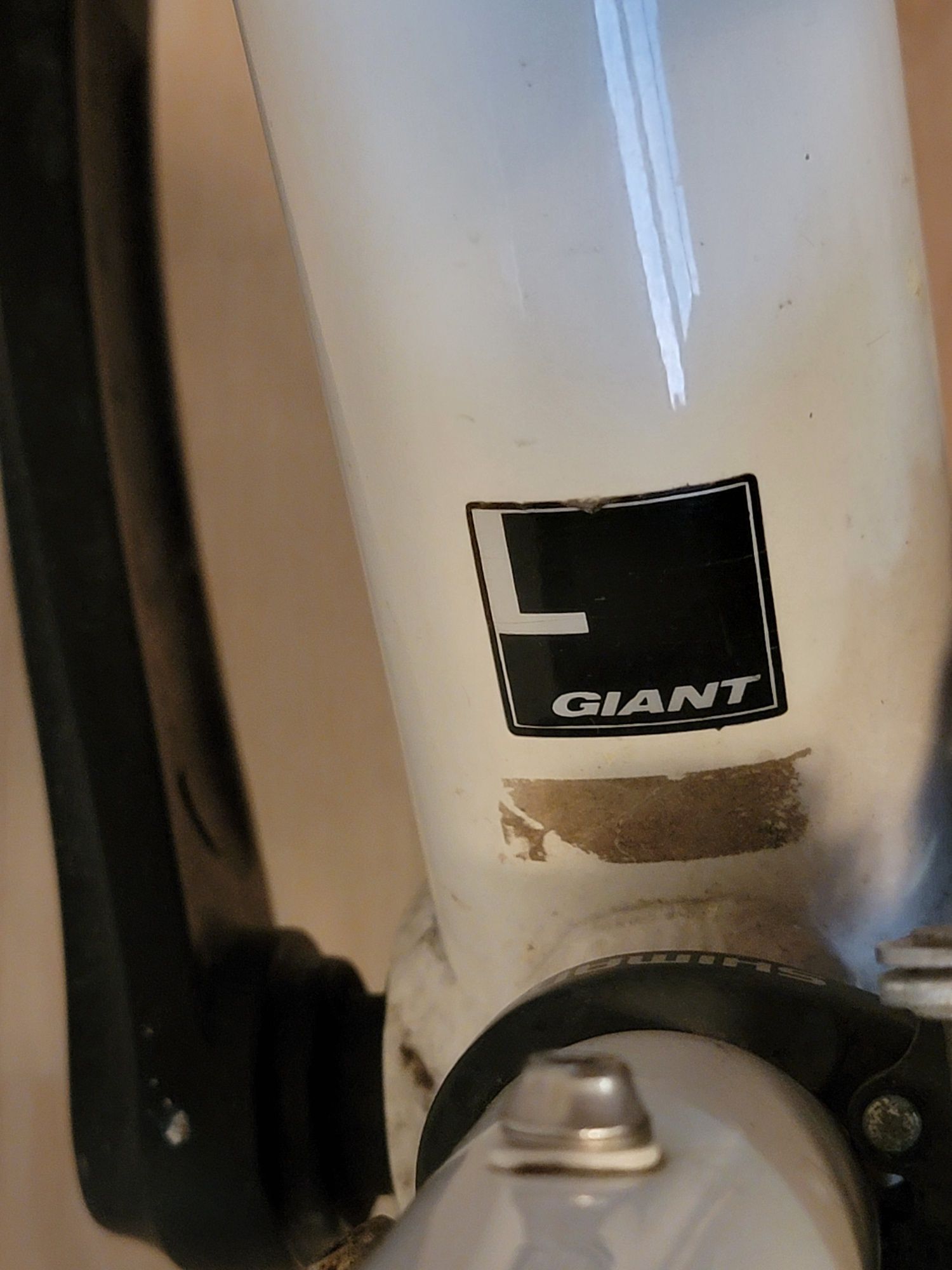 Giant Rincon aluxx sl 6000
