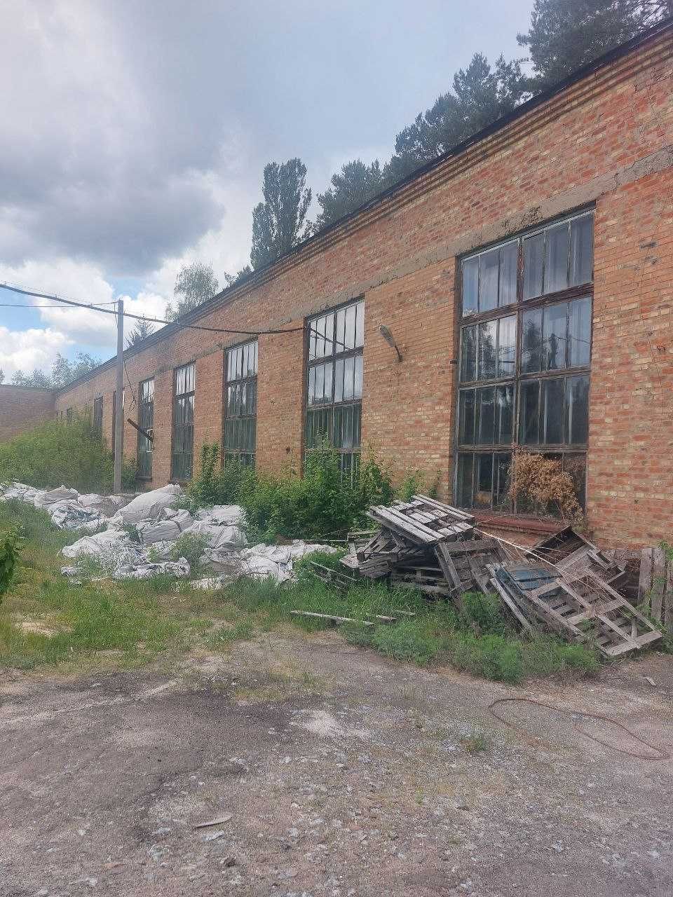 Продаж виробничо-складських приміщень с.Мліїв