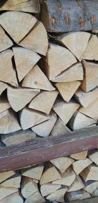 Suche Drewno kominkowe Tychy