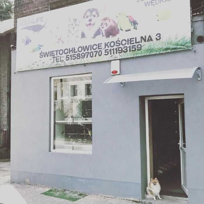 Mech na kokosie kryjowka ozdoba akwariowa AQUALIFE sklep zoologiczny