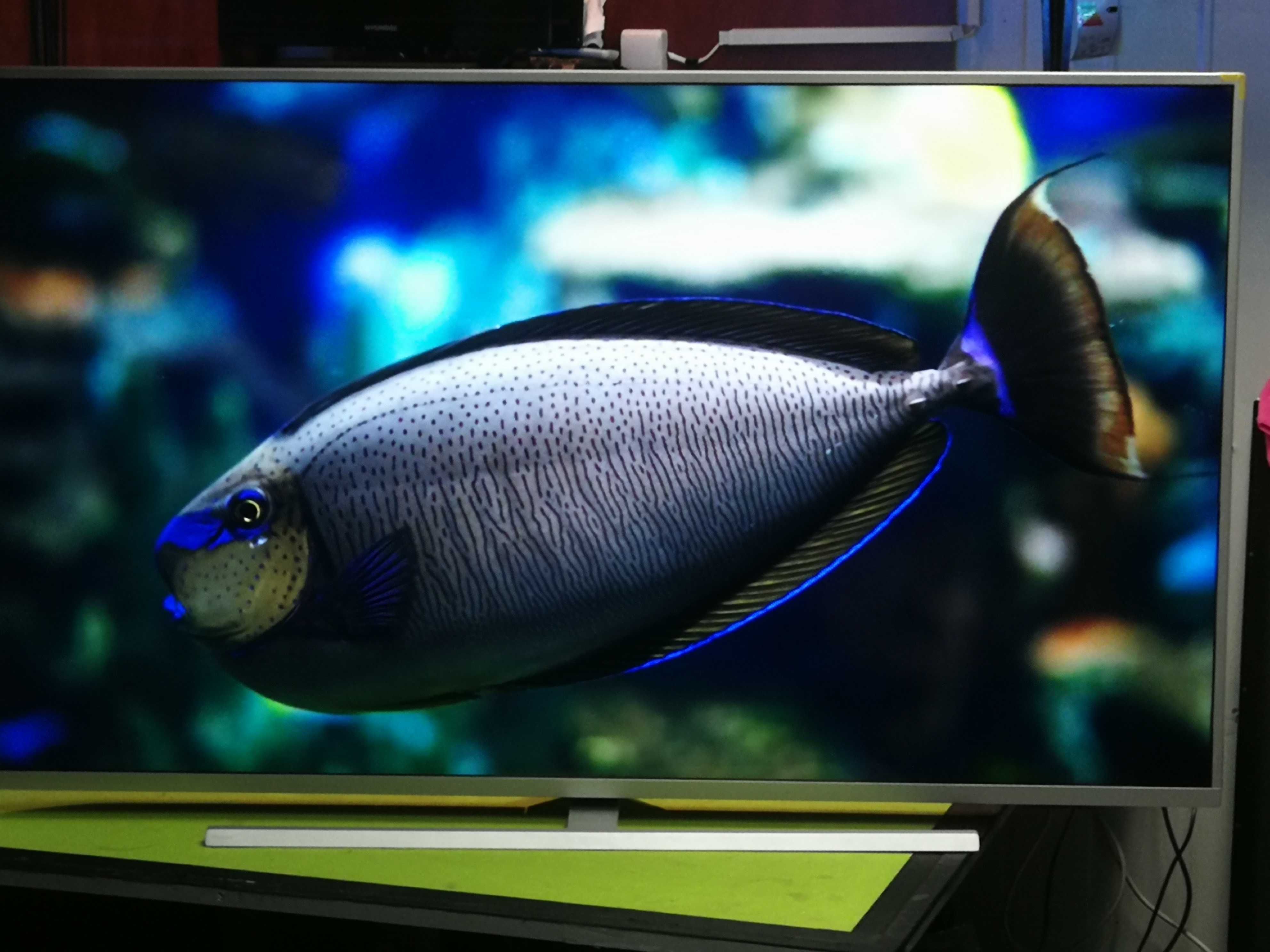 Telewizor Philips 55 cali 4K UHD ,Android, Ambiliht3, Super stan