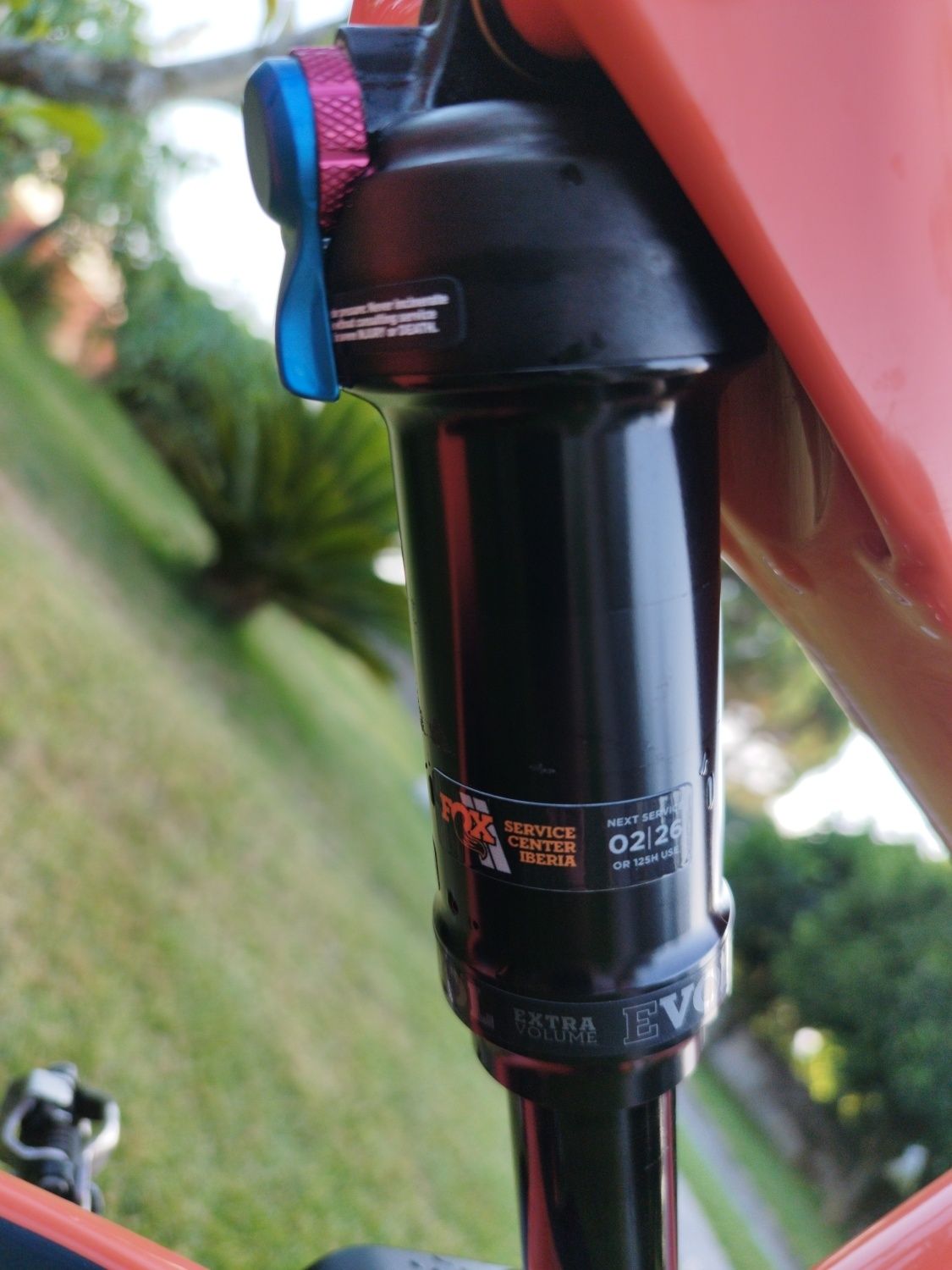 ORBEA OCCAM L 29
 bicicleta de 2022 como nova
pneu