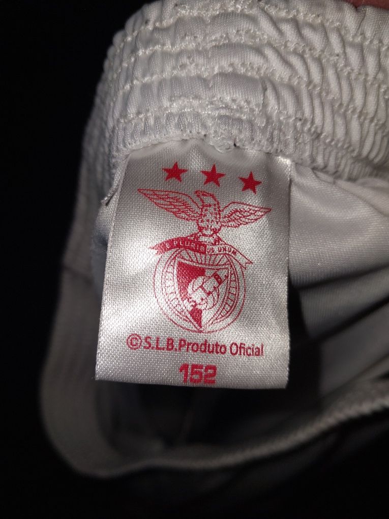 Calções criança Benfica