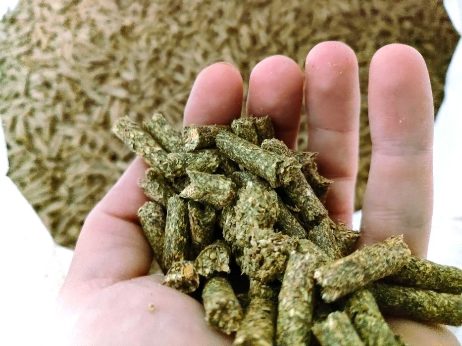 Susz z lucerny, lucerna granulowana | POLSKA | cena brutto z dostawa