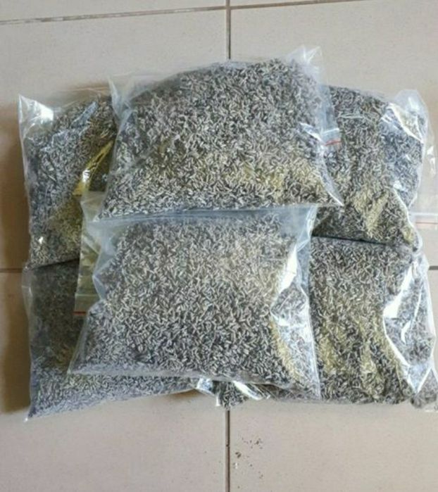 Lawenda,susz lawendowy,lawenda susz lawendowy 100gram