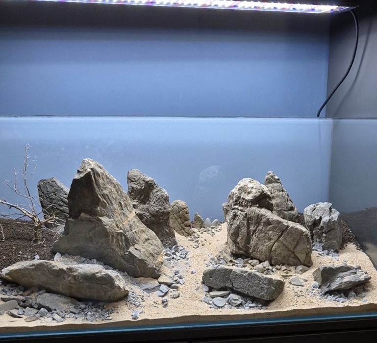 ~~ Aranżacja do akwarium Frodo Stone ~~