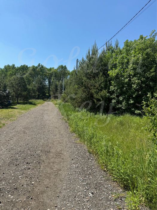 Продам Земельну Ділянку 10сотих,ЛІС,ОЗЕРО,середСОСЕН,закрита територія