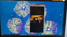 Monitor HP e27u g4, 27", 2K, power delivery, usb-hub, pivot