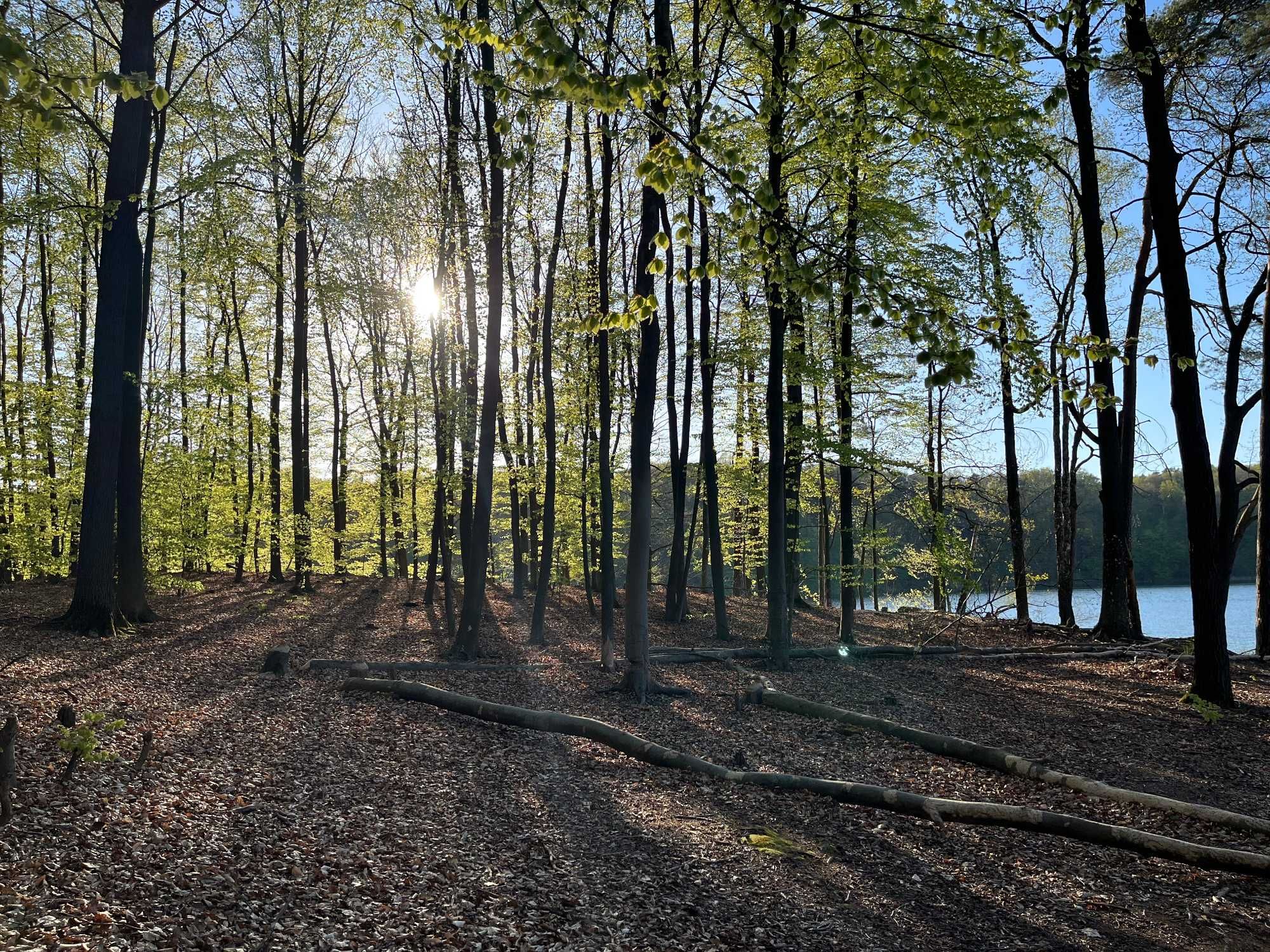 Czarne Domki nad jeziorem w Łagowie