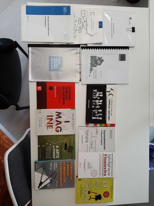 Lote de Livros de Consultoria e Gestão