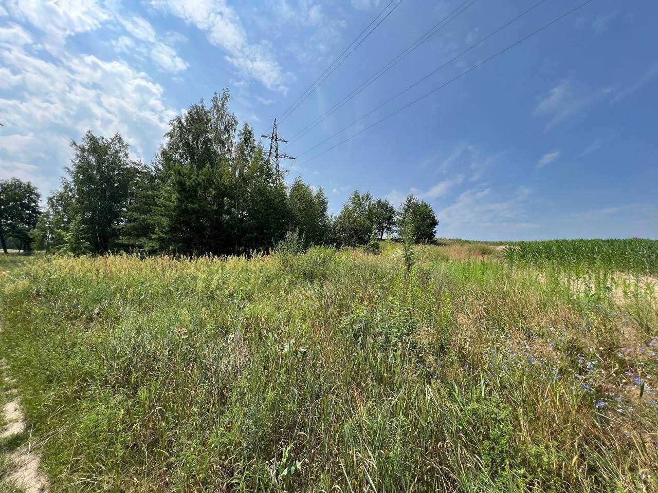 Продаж ділянки 3,11га (ОСГ). Поруч каскад озер.Фастівський р-н. ID:446