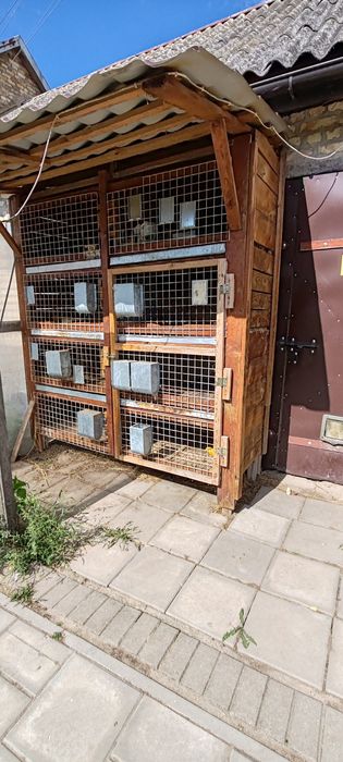Likwidacja Klatka po królikach