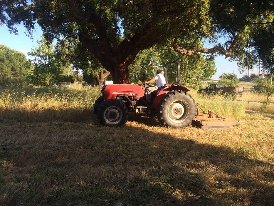 Trabalhos trator limpeza desmataçao de terrenos em Setúbal em Lisboa