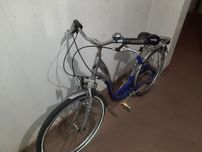 Rower damka Herkules 26"