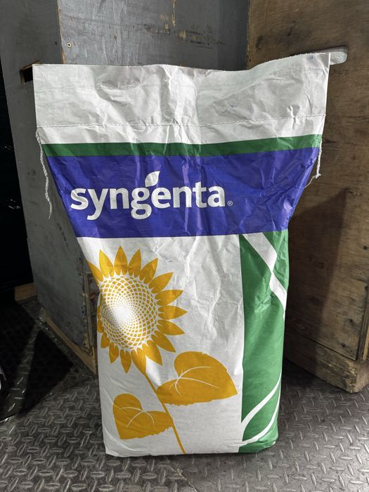 Насіння соняшнику Піонер P64LE185/Сінгента Суміко