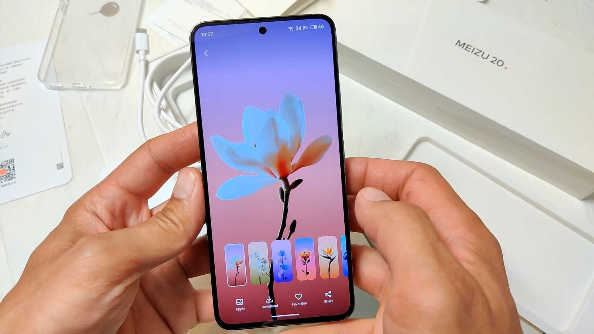 Meizu 20 12/256GB, Gray