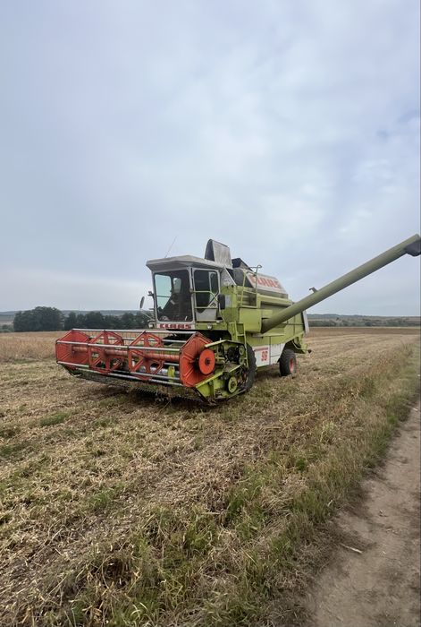 Клас домінатор 96