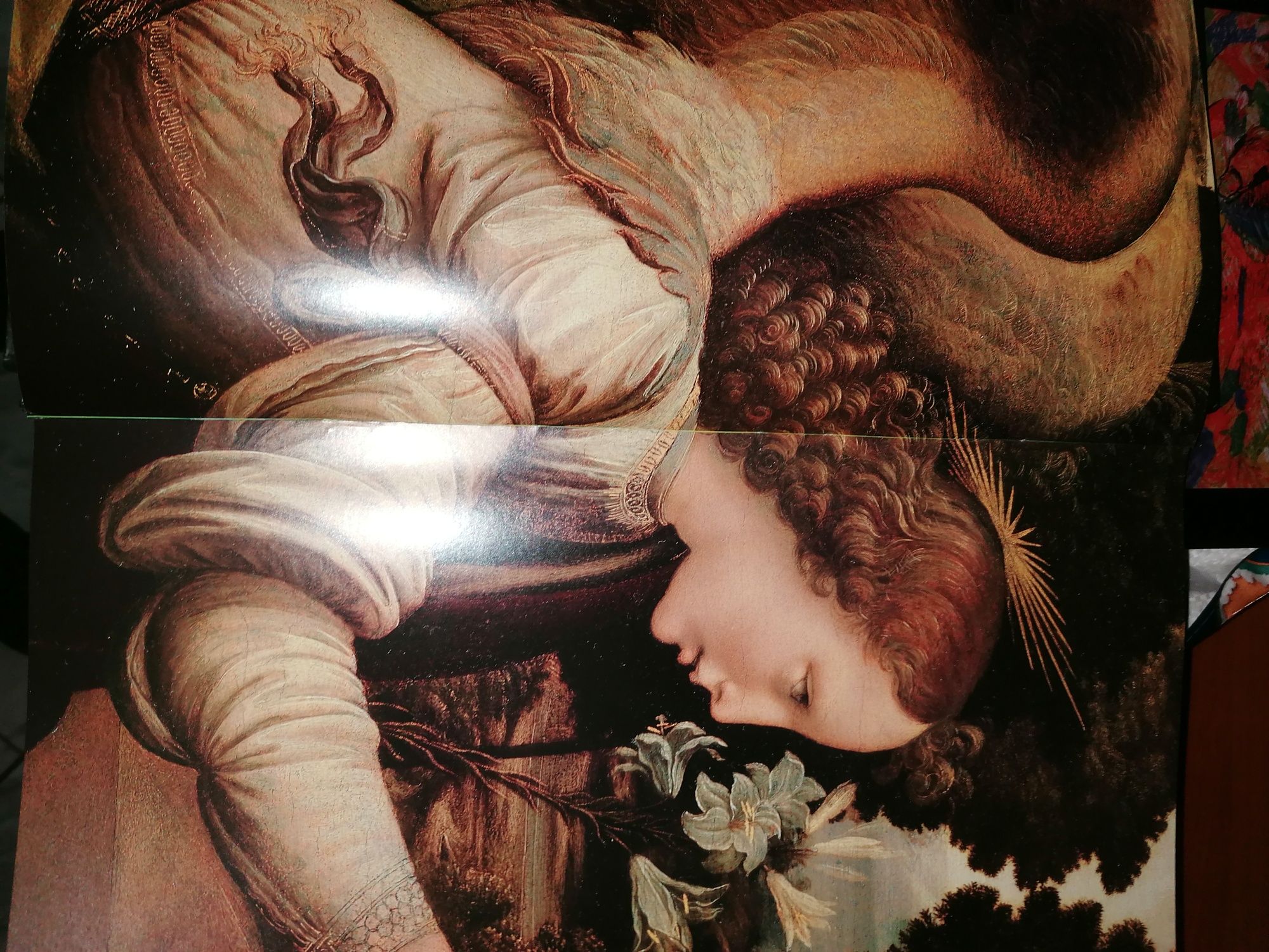 Leonardo da Vinci pintura completa