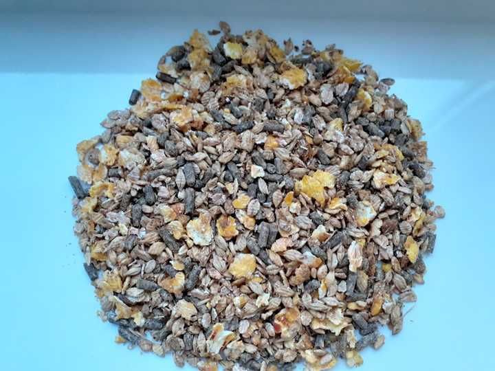 Musli dla Cieląt – MUSLI START 20kg Primary