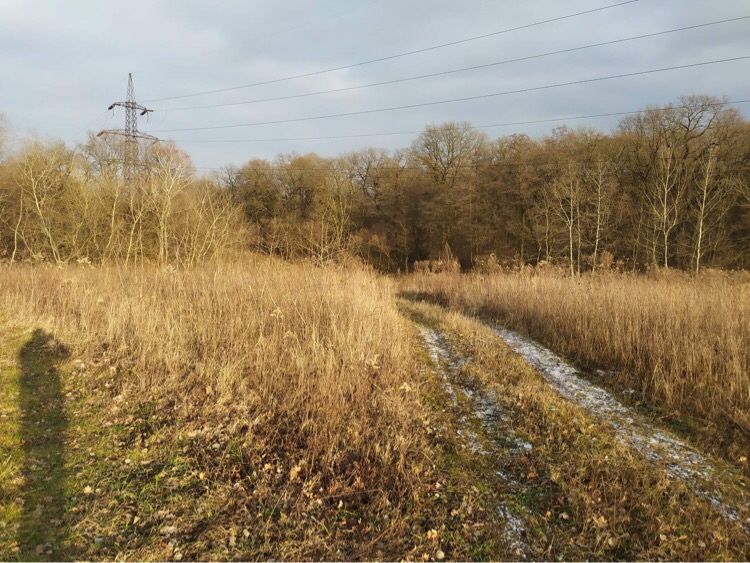 Земельна ділянка Дубляни біля Древнього граду