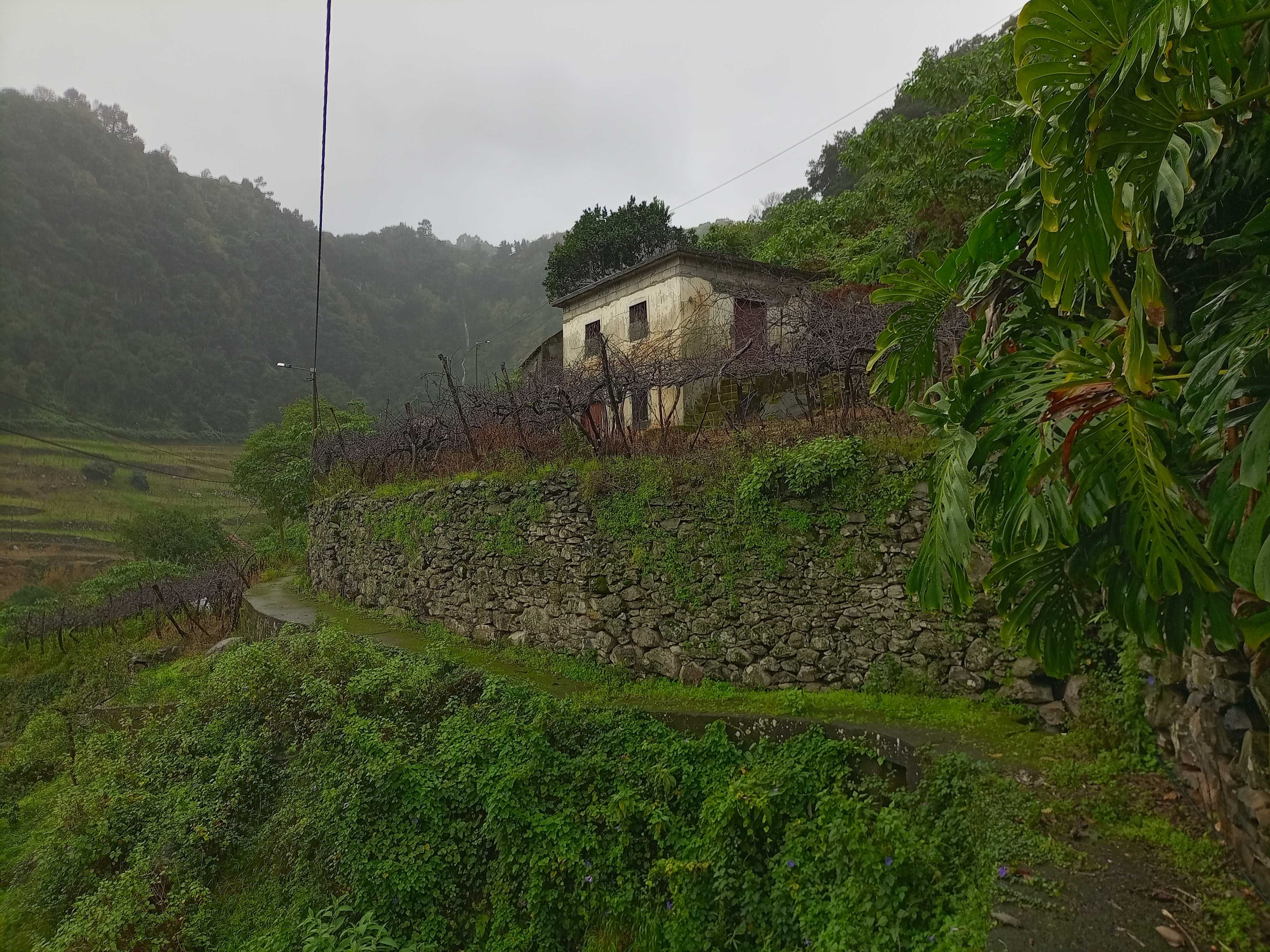 Prédio com construção rural e lagar em São Jorge - Santana