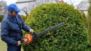 Топіарні-декоративні стрижки туї,ялівцю та декоративних росли