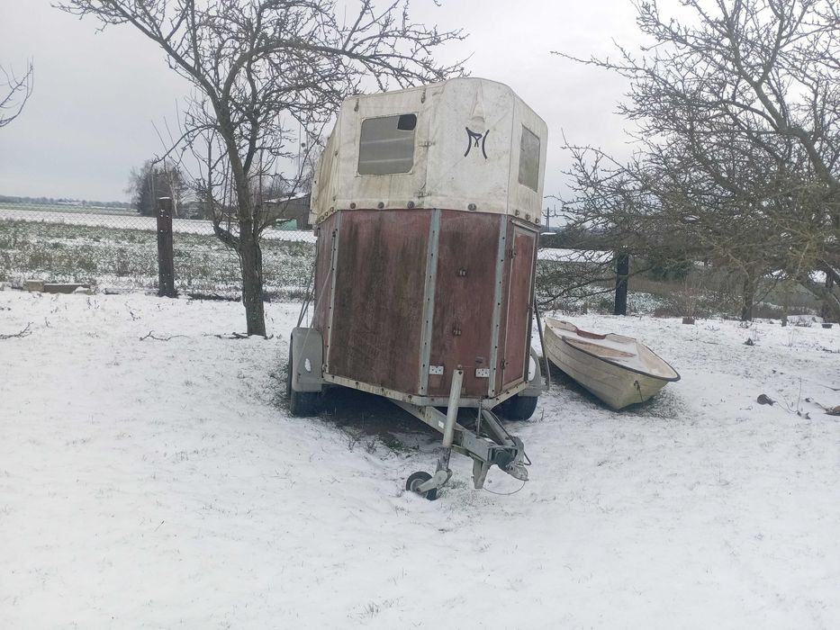 Przyczepa do przewozu koni