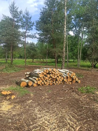 Drewno kominkowe opałowe BRZOZA / CZEREMCHA / OSIKA wałki 1.25 , 2.5 m